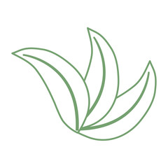 leaf icon image