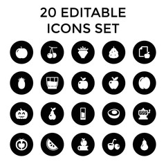 Set of 20 fruit filled icons
