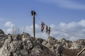 zdjęcie suszących się ośmiornic przed tawerną