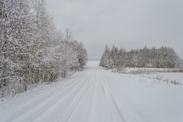 Obraz premium winter rural scene with snow and white fields