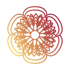 beautiful flower icon 