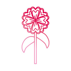 flower plant icon image
