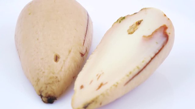 Purified ossicle of avocado