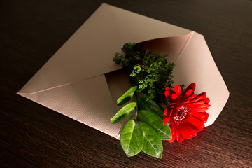 a bouquet of red gerbera flowers and a green branch lie in an envelope