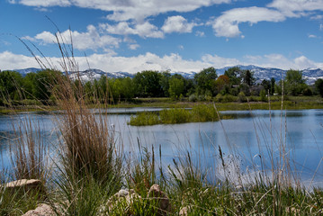 Obraz premium SONY DSC