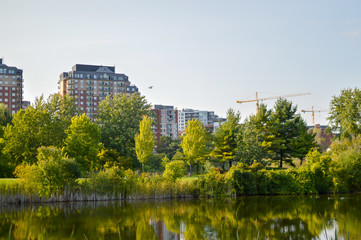 Fototapeta na wymiar Condo buildings view from the public park of Montreal, Canada