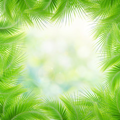 Misty morning in the tropical forest, Abstract palm leaves and natural backgrounds.