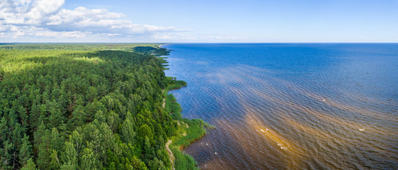 Aerial view of the coastal line at summer day. Lake and forest.