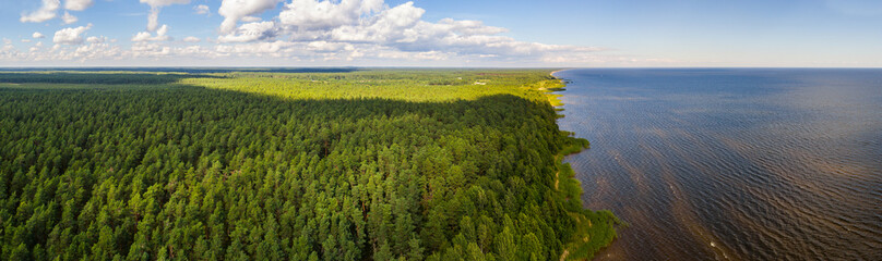 Fototapeta na wymiar Aerial view of the coastal line at summer day. Lake and forest.
