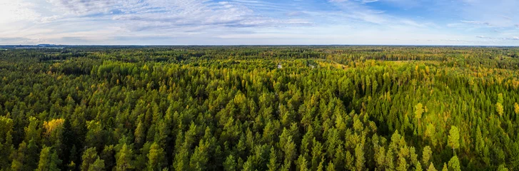 Foto op Plexiglas Luchtfoto van herfst bomen. Kleurrijke bomen van bovenaf. Panorama. © nikwaller
