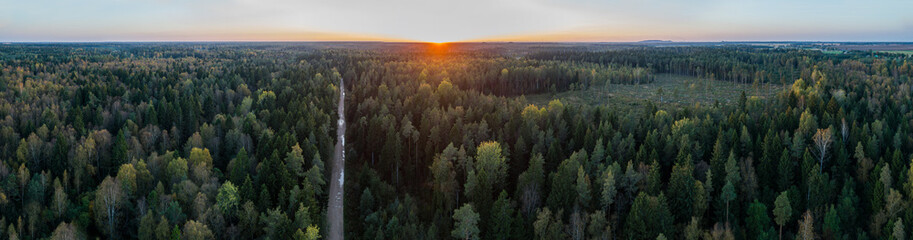Aerial view of autumn trees. Colorful trees from above. Panorama. - obrazy, fototapety, plakaty