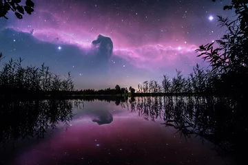  Sterren boven het meer in de zomernacht op donkere hemel. Sterrenval. Verbazingwekkend melkwegstelsel met een grote hoeveelheid sterren. © nikwaller