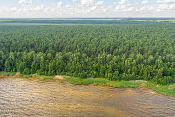 Fototapeta na wymiar Aerial view of the coastal line at summer day. Lake and forest.