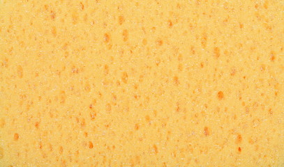 abstract yellow sponge texture background
