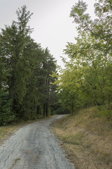 Obraz premium A pathway in a natural setting among hills