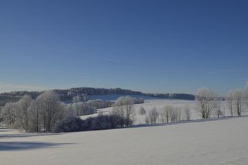 Oberlausitzer Bergland bei Weifa im Winter