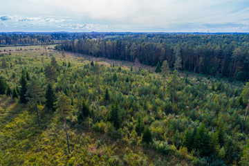 Overhead view of foliage trees, river and road in Western Europe. Aerial photography.