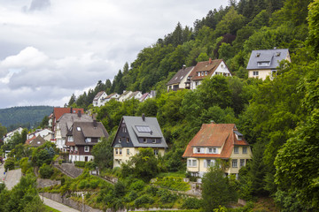 Fototapeta na wymiar View of Triberg in Black Forest