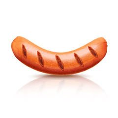 Vector grilled sausage