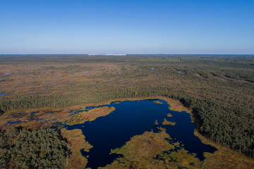 Fototapeta na wymiar Aerial view of Beautiful lakes in swamp land. Bogs.