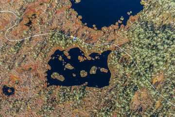 Aerial view of Beautiful lakes in swamp land. Bogs.