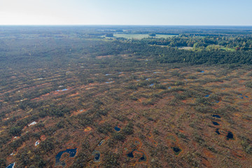 Aerial view of Beautiful lakes in swamp land. Bogs.