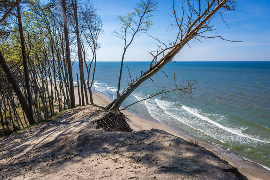 Baltic Sea cliff near small village Orzechowo, Poland
