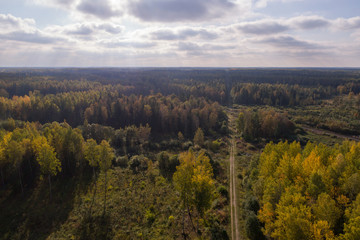 Aerial view of autumn trees. Colorful trees from above.