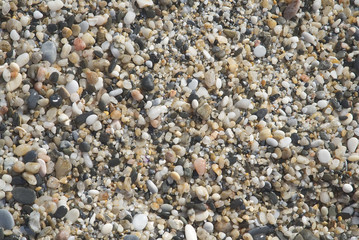 Background light-brown and grey texture of wet pebbles on the beach.      