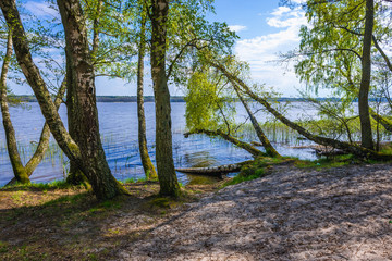 Bioreserve between Sarbsko Lake and Baltic Sea coast in Poland