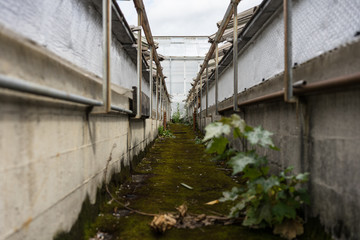 Fototapeta na wymiar small alley in abandoned industrial area