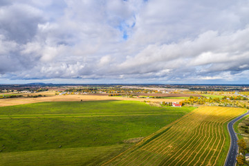 Aerial view of amazing summer landscape. Fields and meadows from above.