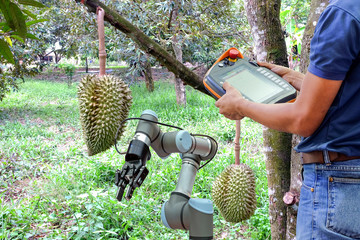 Engineer use remote control for industrial robots to monitor work functions, helping farmers...