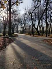 Park jesienią © michalsen