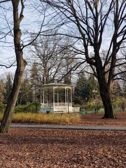 Altana w parku © michalsen