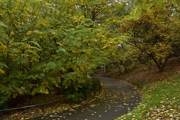 Chemin tournant sous les couleurs de l'automne au parc Josaphat à Schaerbeek