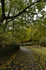 Fototapeta na wymiar Chemin sous la nature luxuriante en automne au parc Josaphat à Schaerbeek