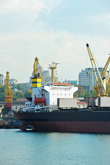 Fototapeta premium Bulk cargo ship under port crane