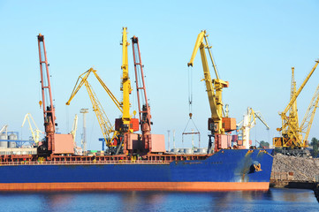 Bulk cargo ship under port crane
