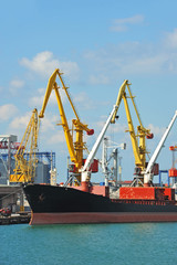 Bulk cargo ship under port crane