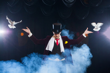 The magician with a two flying white Doves. on a black background shrouded in a beautiful...