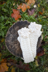 White mittens on tree stump.