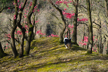 Spaziergang im Herbst