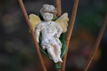 Forgotten angel in a tree on a graveyard