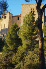 Schloß von Meyrargues in der Provence, das vom Park gesehen ist