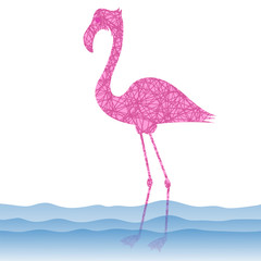 Pink Flamingo Bird