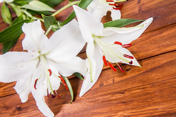 White lily on a wooden background