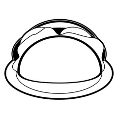 Burrito mexican food