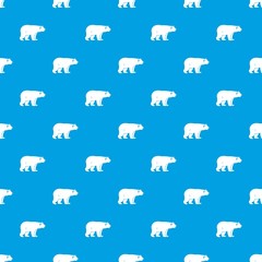 Wild bear pattern seamless blue