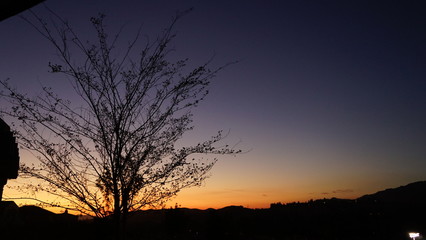 A random collection of sunsets